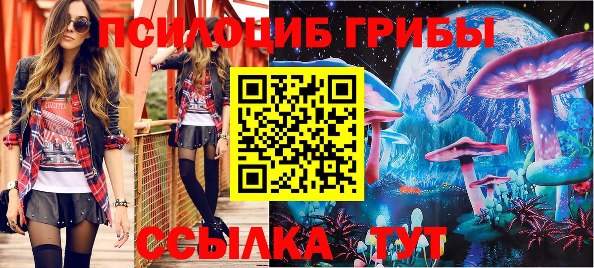 Жуковский  Псилоцибиновые грибы GOLDEN TEACHER  магазин    Псилоцибиновые грибы MAGIC MUSHROOMS  Вход с VPN 