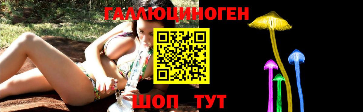 Галлюциногенные грибы GOLDEN TEACHER Жуковский